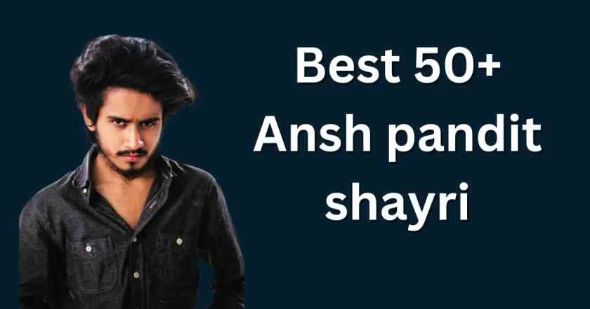 Best 50+ Ansh pandit shayri
